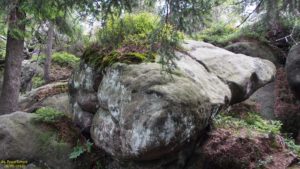 Несмотря на небольшую абсолютную высоту, вершина Щелинецкой Вельки видна издалека как трапециевидный каменный блок, поросший хвойным лесом
